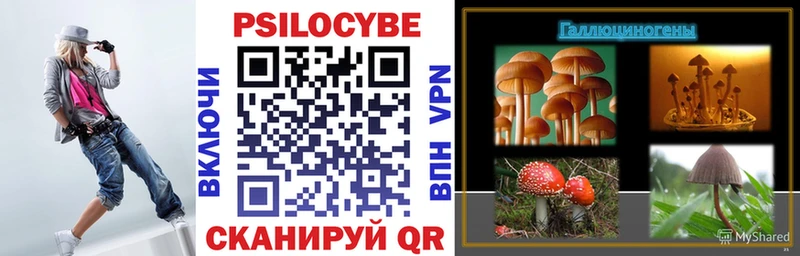 Купить  Октябрьск  Псилоцибиновые грибы мицелий 